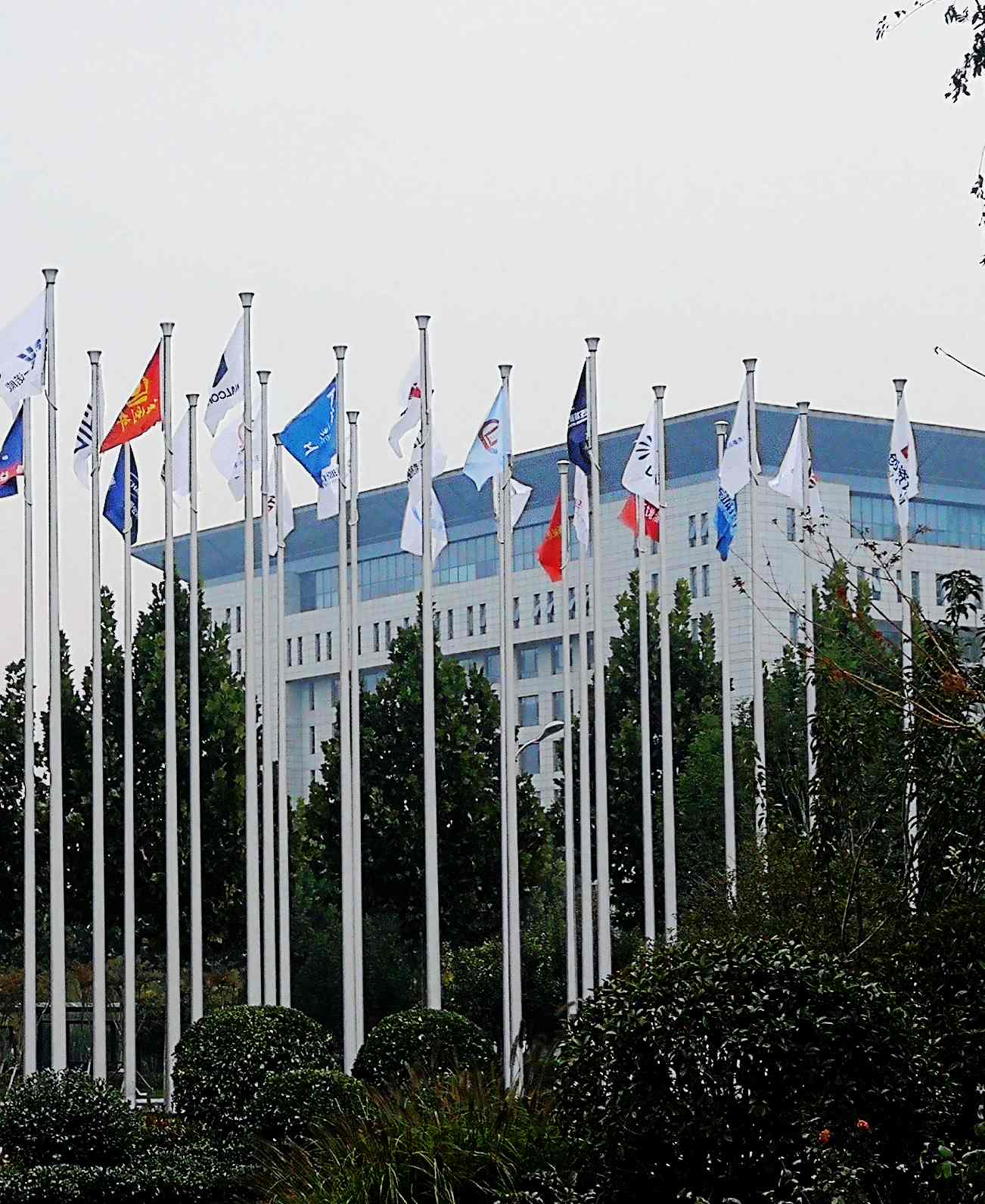 鳳凰涅槃，榮耀淄博